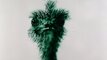 2009 - Sand drawing with green sand, Ostrich