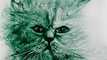 2009 - Sand drawing with green sand, Cat