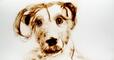2012 : : Dessin rapide de Chien durant une exposition