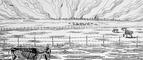 2012 :: Ghosts in the Fields :: Black ink drawing, 59x25