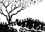2011 : : Dessin à l'encre noire, Arbre printanier : : A4 {JPEG}