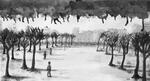 2012 : : Ville Fantôme : : Lavis d'encre noire, 41.5x23cm {JPEG}