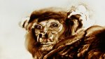 2012 : : Visage de d'animal, Singe : : Recherche pour un film : : Dessin sur sable {JPEG}
