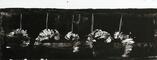 2014 :: Crysalides 2:: acrylic paint, 27x10cm