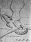 2011 :: Charcoal, Social Surgery operation :: 40x50