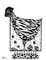 2011 :: Black Ink Drawing, Chicken Cooking :: A4
