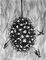 2013 :: The Swarm :: Black ink, 50x65cm