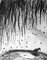 2010 - Charcoal drawing, from a poem