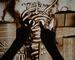 2007 - Live sand drawing
