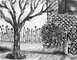 2010 - Charcoal drawing, from a poem