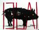 2015 : : Cochon 136A1 : : peinture acrylique, encres, 65x50cm