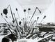 2014 :: Steel Bouquet :: acrylic paint, 65x50cm