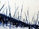 2016 : : Survivant : : peinture acrylique & encres, 40x30cm