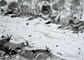 2013 :: Shores:: Acrylic ink, 70x50cm