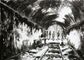 2014 :: Terminus :: acrylic paint, 70x50cm