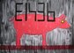 2015 : : Cochon E1436 : : peinture acrylique, encres & Posca, 70x50cm
