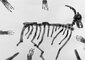2012 :: Black ink wash, A Desire for Corpses :: A3