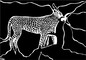 2011 : : Dessin en noir et blanc vectorisé, La proie et l'ombre