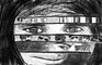 2011 - Charcoal drawing, Threats