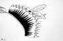 2011 : : Dessin à l'encre noire, Plante carnivore